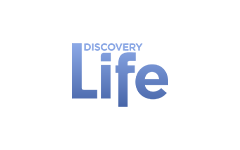 Discovery Life